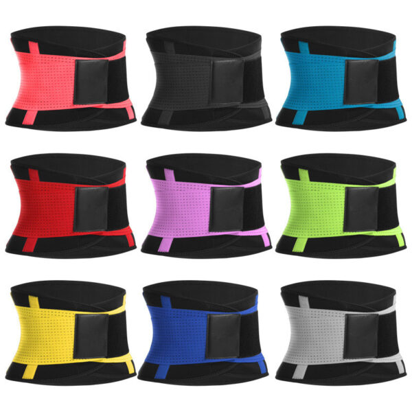 Waist Support